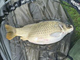 7 Lakes Country Park - Holiday Accommodation 17097 - Lincolnshire - 1186210 - thumbnail photo 9