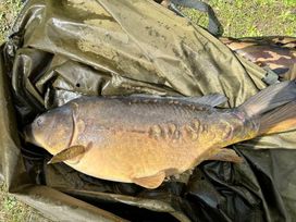 7 Lakes Country Park - Holiday Accommodation 17097 - Lincolnshire - 1186210 - thumbnail photo 13