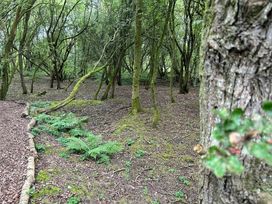 7 Lakes Country Park - Holiday Accommodation 17097 - Lincolnshire - 1186210 - thumbnail photo 17