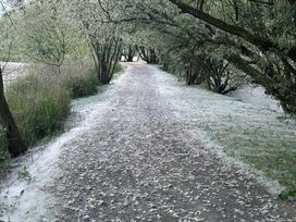 7 Lakes Country Park - Holiday Accommodation 17097 - Lincolnshire - 1186210 - thumbnail photo 19