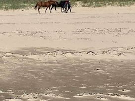 St Andrews Holiday Park - Holiday Accommodation 17136 - Scottish Lowlands - 1186220 - thumbnail photo 17