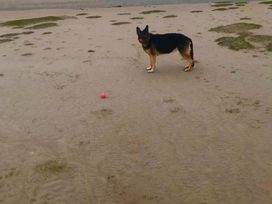 Lakeland Leisure Park - Holiday Accommodation 17455 - Lake District - 1186327 - thumbnail photo 15