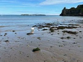 Lydstep Beach - Holiday Accommodation 17757 - South Wales - 1186419 - thumbnail photo 10