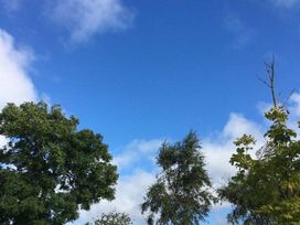 Green Farm Caravan Park - Holiday Accommodation 17809 - Norfolk - 1186435 - thumbnail photo 15