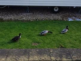 Butlins Skegness - Holiday Accommodation 18140 - Lincolnshire - 1186535 - thumbnail photo 17