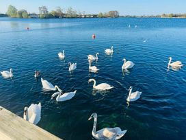 Tattershall Lakes Country Park - Holiday Accommodation 18151 - Lincolnshire - 1186538 - thumbnail photo 14