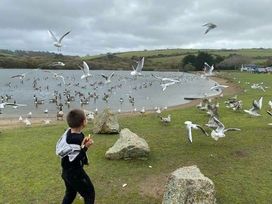 Par Sands Holiday Park - Holiday Accommodation 18484 - Cornwall - 1186633 - thumbnail photo 14
