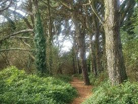 Par Sands Holiday Park - Holiday Accommodation 18804 - Cornwall - 1186734 - thumbnail photo 18