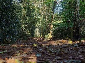 Wild Duck Holiday Park - Holiday Accommodation 18828 - Norfolk - 1186739 - thumbnail photo 18