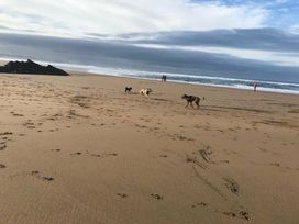Bude Holiday Resort - Holiday Accommodation 18981 - Cornwall - 1186798 - thumbnail photo 11