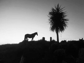 Penbryn Uchaf - Holiday Accommodation 19362 - Anglesey - 1186946 - thumbnail photo 13
