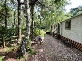Kelling Heath Holiday Park - Holiday Accommodation 19886 - Norfolk - 1187140 - thumbnail photo 14