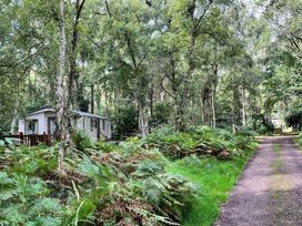 Kelling Heath Holiday Park - Holiday Accommodation 19886 - Norfolk - 1187140 - thumbnail photo 19
