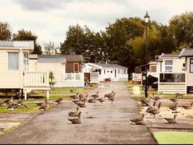 Chichester Lakeside - Holiday Accommodation 19945 - Hampshire - 1187163 - thumbnail photo 13