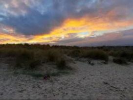 Caister Holiday Park - Holiday Accommodation 20019 - Norfolk - 1187170 - thumbnail photo 16