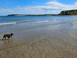 Penally Court - Holiday Accommodation 20194 - South Wales - 1187256 - thumbnail photo 15