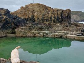 Liskey Hill Caravan Park - Holiday Accommodation 20197 - Cornwall - 1187257 - thumbnail photo 19