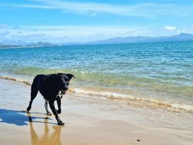 Hafan y Mor Haven - Holiday Accommodation 20295 - North Wales - 1187298 - thumbnail photo 13
