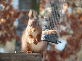 Chapel Farm Caravan Park - Holiday Accommodation 20338 - Lake District - 1187320 - thumbnail photo 6