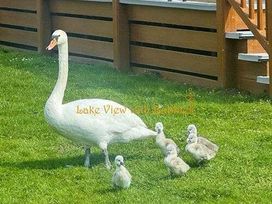 Tattershall Lakes Country Park - Holiday Accommodation 20340 - Lincolnshire - 1187322 - thumbnail photo 11