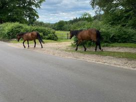Shorefield Country Park - Holiday Accommodation 20550 - Dorset - 1187410 - thumbnail photo 18