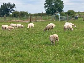 Trinity Lodge - Holiday Accommodation 20695 - Shropshire - 1187465 - thumbnail photo 11