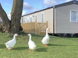 7 Lakes Country Park - Holiday Accommodation 20744 - Lincolnshire - 1187493 - thumbnail photo 8