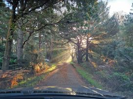 Kelling Heath Holiday Park - Holiday Accommodation 20762 - Norfolk - 1187505 - thumbnail photo 18
