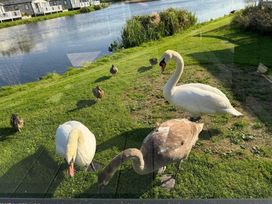 Lakeland Leisure Park - Holiday Accommodation 20788 - Lake District - 1187520 - thumbnail photo 3