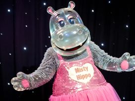 A character in a costume named Misty Hippo on stage with a sparkling background