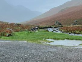 Brigham Holiday Park - Holiday Accommodation 20892 -  - 1187577 - thumbnail photo 17