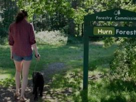 Oakdene Forest Park - Holiday Accommodation 21113 - Hampshire - 1187724 - thumbnail photo 8