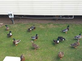 Waterside Leisure Park - Holiday Accommodation 21117 - Lincolnshire - 1187727 - thumbnail photo 12