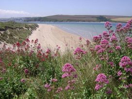 St Minver Holiday Park - Holiday Accommodation 21443 - Cornwall - 1187960 - thumbnail photo 12