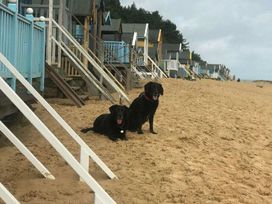Pinewoods Holiday Park - Holiday Accommodation 21638 - Norfolk - 1188091 - thumbnail photo 13