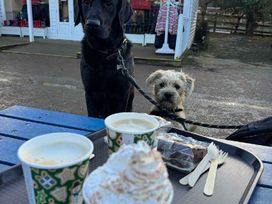 Pinewoods Holiday Park - Holiday Accommodation 21638 - Norfolk - 1188091 - thumbnail photo 15