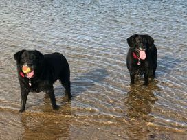 Pinewoods Holiday Park - Holiday Accommodation 21638 - Norfolk - 1188091 - thumbnail photo 17