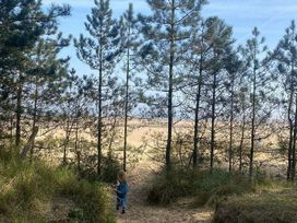 Pinewoods Holiday Park - Holiday Accommodation 21638 - Norfolk - 1188091 - thumbnail photo 18