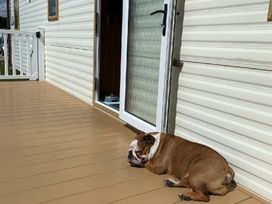 Cayton Bay Caravan Park - Holiday Accommodation 21683 - North Yorkshire (incl. Whitby) - 1188123 - thumbnail photo 9