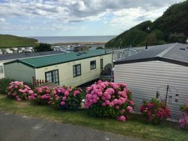 Freshwater Beach Holiday Park - Holiday Accommodation 21693 - Dorset - 1188129 - thumbnail photo 6