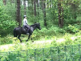 Oakdene Forest Park - Holiday Accommodation 21736 - Hampshire - 1188160 - thumbnail photo 13