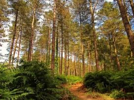 Oakdene Forest Park - Holiday Accommodation 21926 - Hampshire - 1188315 - thumbnail photo 18
