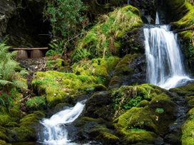 A waterfall surrounded by rocks and ferns at Aberdunant Hall Holiday Park - Holiday Accommodation 21962 Prenteg