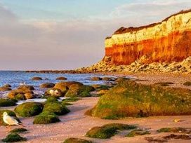 Manor Park Holiday Village - Holiday Accommodation 22022 - Norfolk - 1188395 - thumbnail photo 10