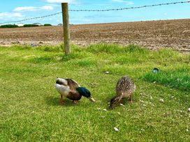 Stoupe Cross Caravan Park - Holiday Accommodation 22028 - North Yorkshire (incl. Whitby) - 1188400 - thumbnail photo 11