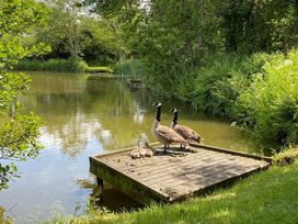 Trevella Park - Holiday Accommodation 22065 - Cornwall - 1188429 - thumbnail photo 12