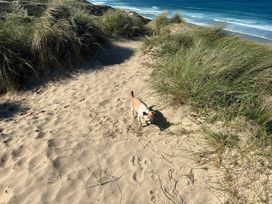 Perran Sands - Holiday Accommodation 22144 - Cornwall - 1188493 - thumbnail photo 16
