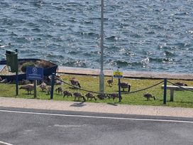 Port Haverigg Holiday Village - Holiday Accommodation 22232 - Lake District - 1188571 - thumbnail photo 10