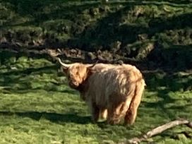 Fell Valley View (private land) - Holiday Accommodation 22240 - Yorkshire Dales - 1188576 - thumbnail photo 8