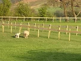 Fell Valley View (private land) - Holiday Accommodation 22240 - Yorkshire Dales - 1188576 - thumbnail photo 13